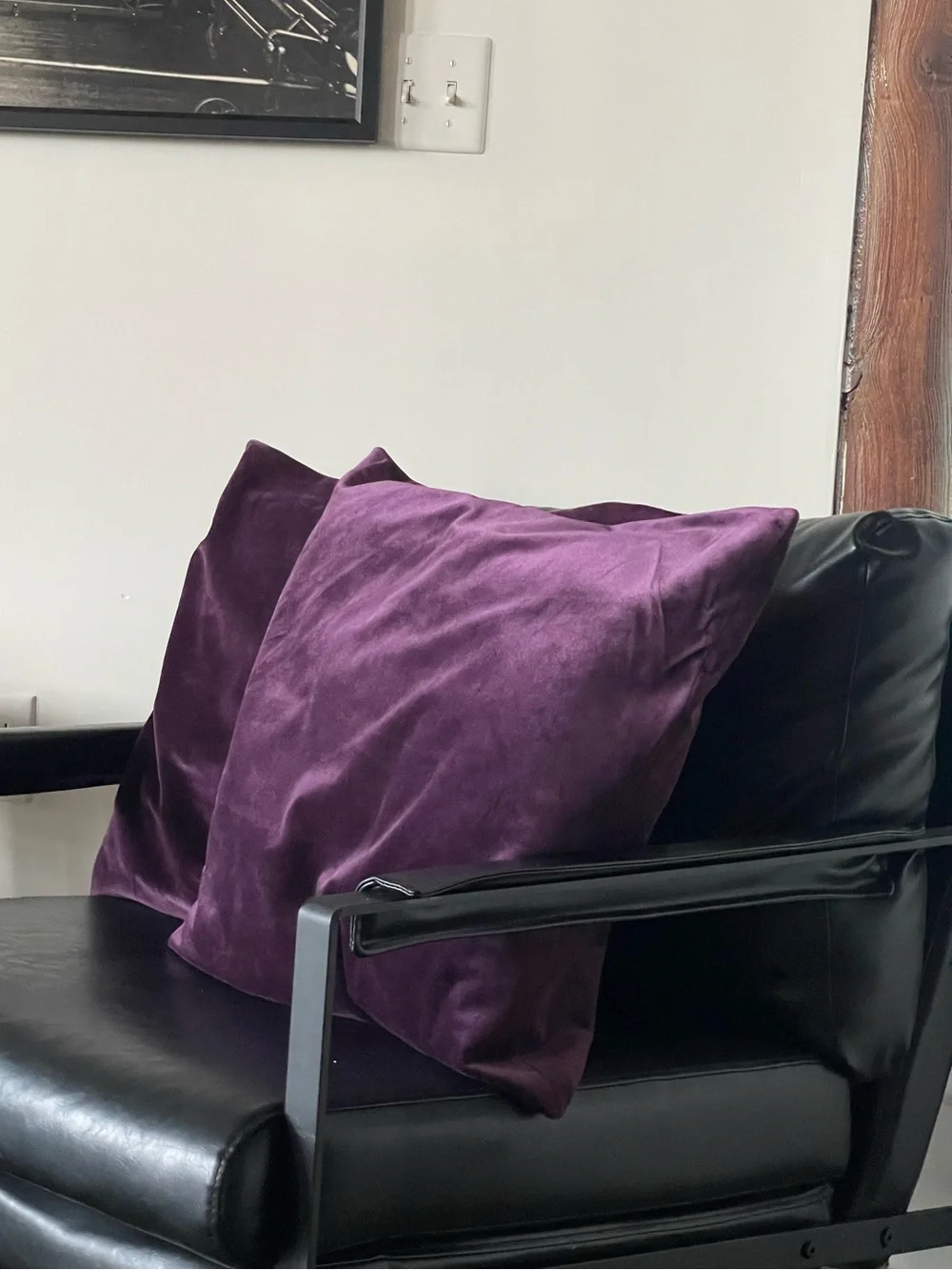 Plush Velvet Decorative Pillow - Purple